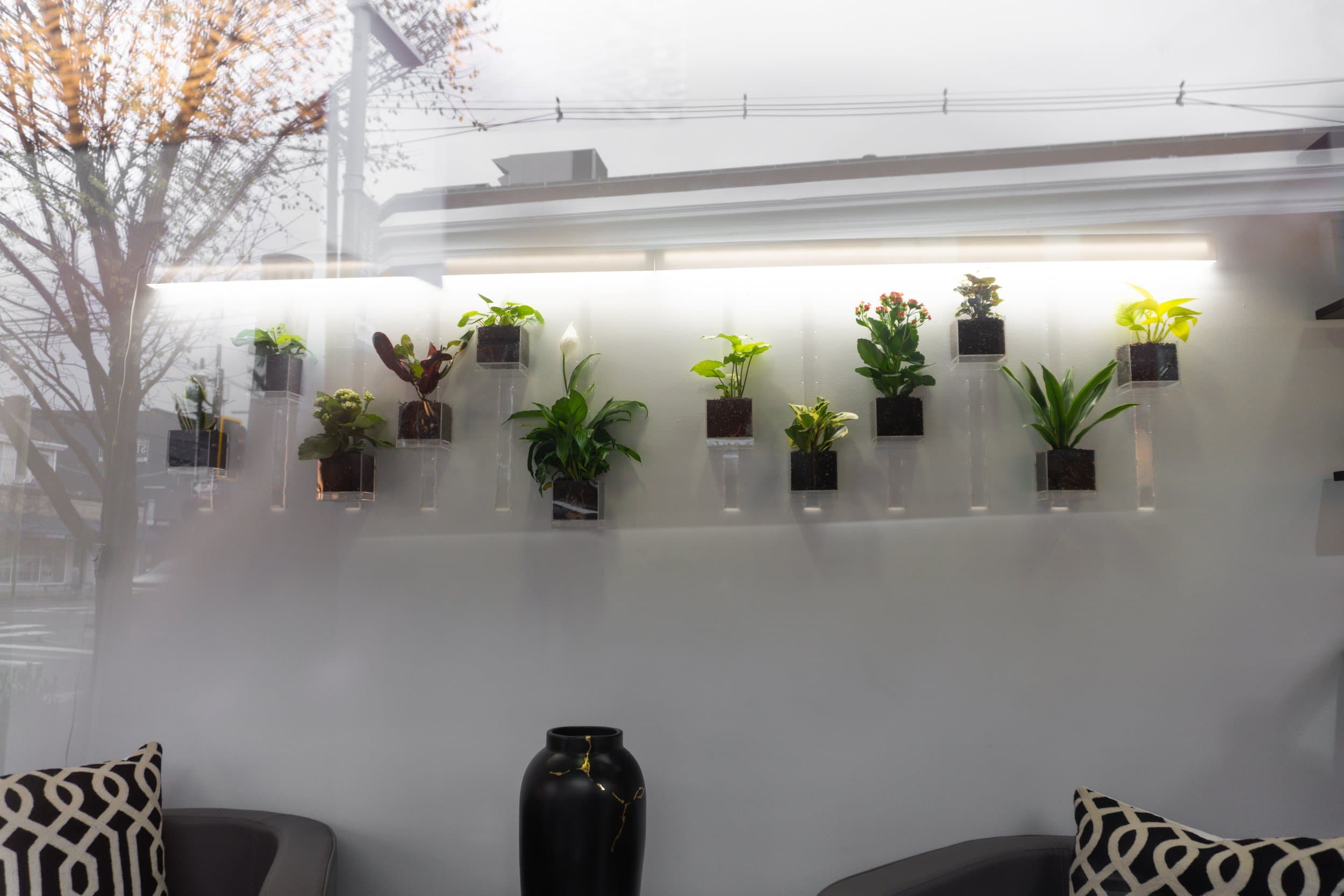 Pomander Walk (Artist Consultation) — 14