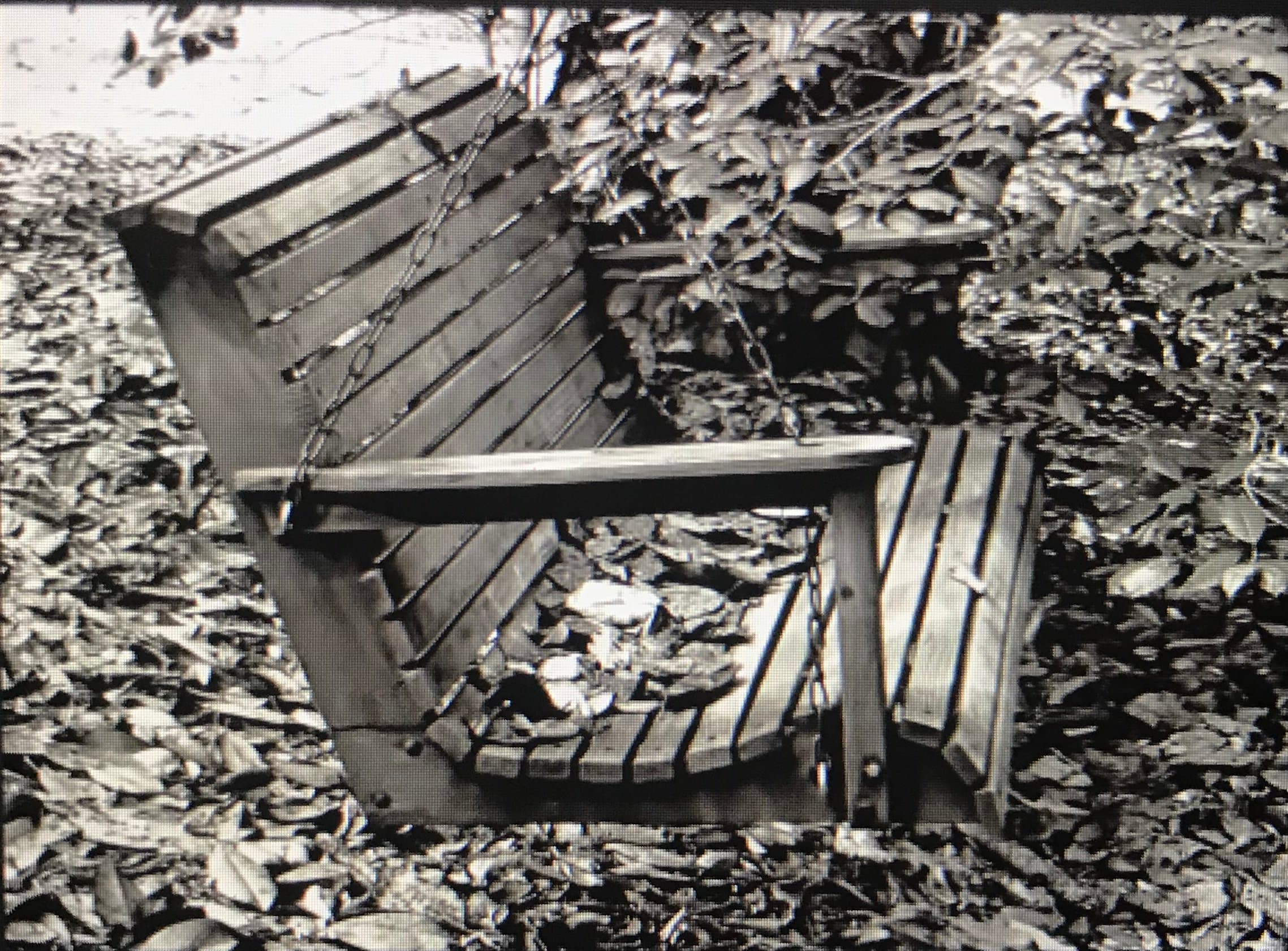 With no knowledge of benches nor swings, I started with this photo I found online. It has a nice scooping seat that looks comfortable.