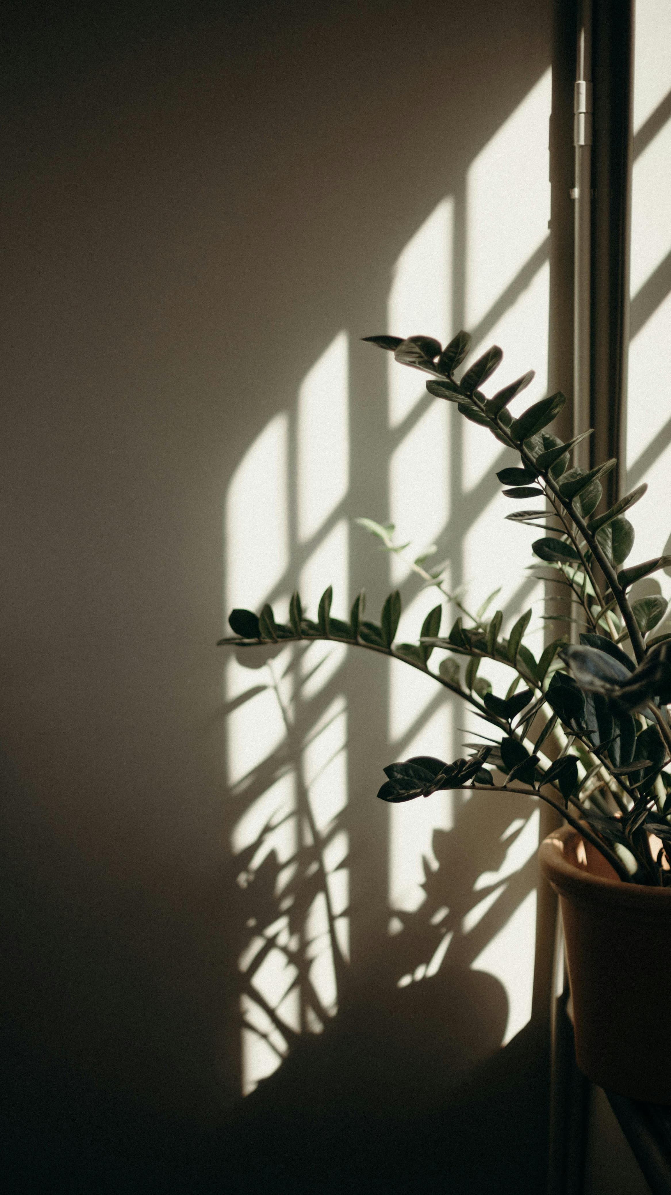No-Mess Cutting Board Oiling Tool