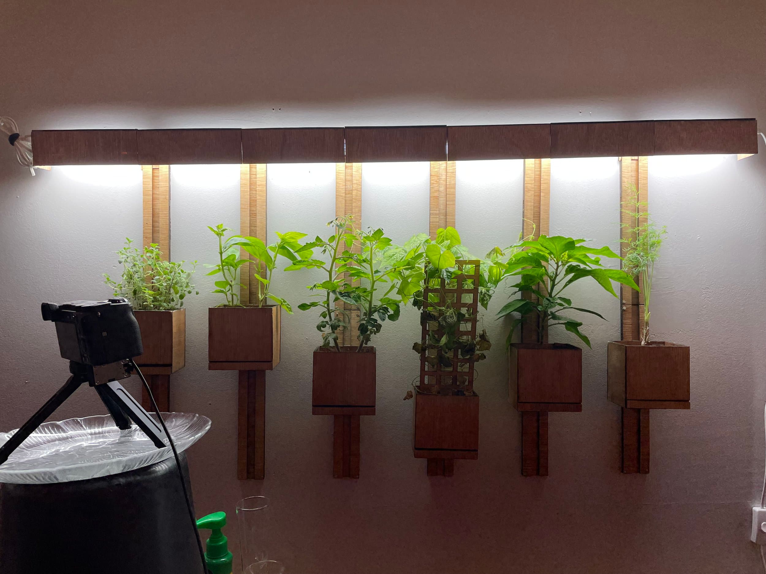 A wall garden with a built in light and individually adjustable pots and integrated drainage system. Made on a small laser cutter in the bedroom of my NYC apartment (hence the sections). All of the plants you see were grown from seeds. I originally made it for myself with no intention of selling, but after popular demand, I refined the design and launched HERBINDOOR.