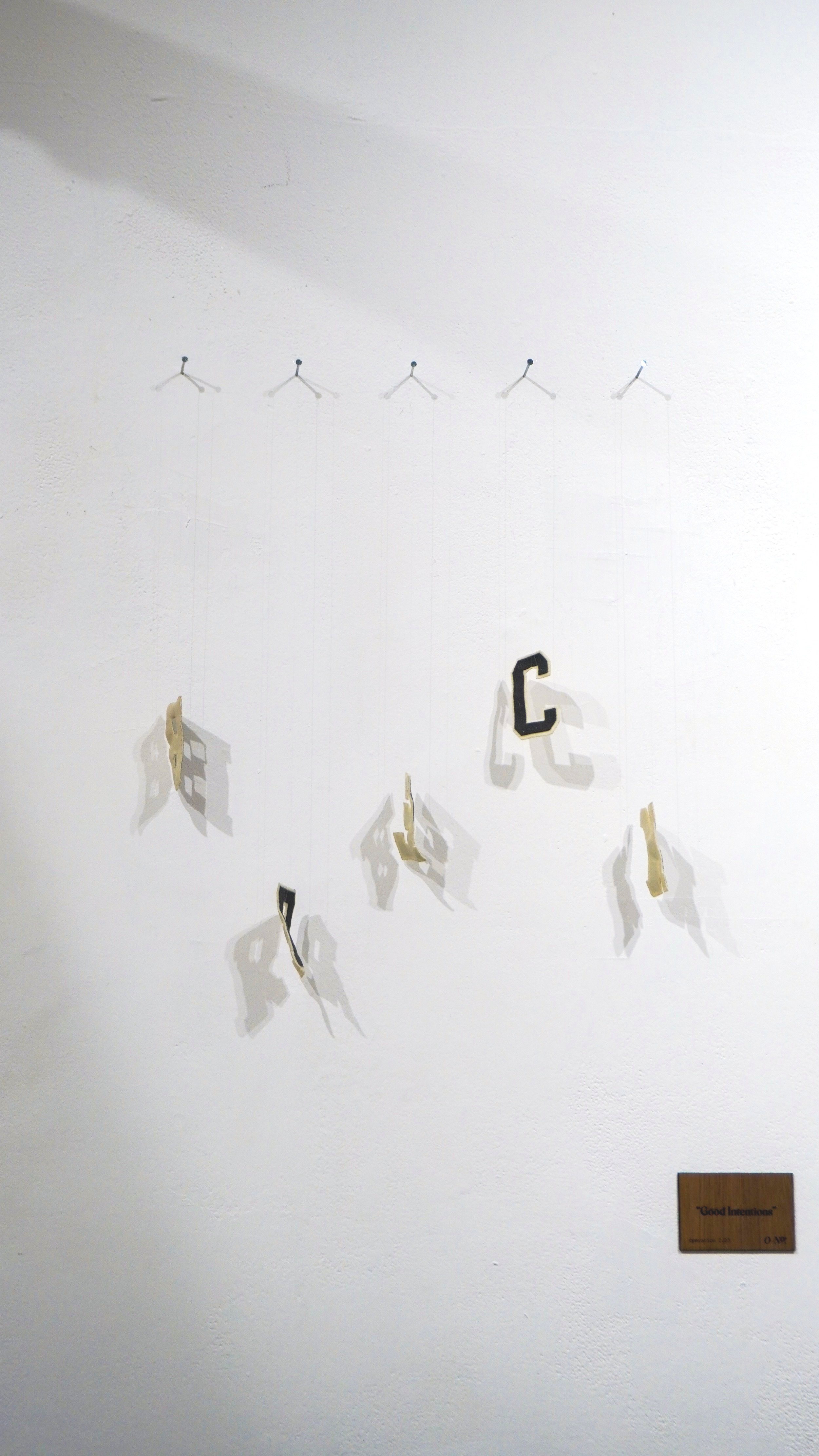 “Good Intentions” - iron-on letters, suspended from nails by fishing line