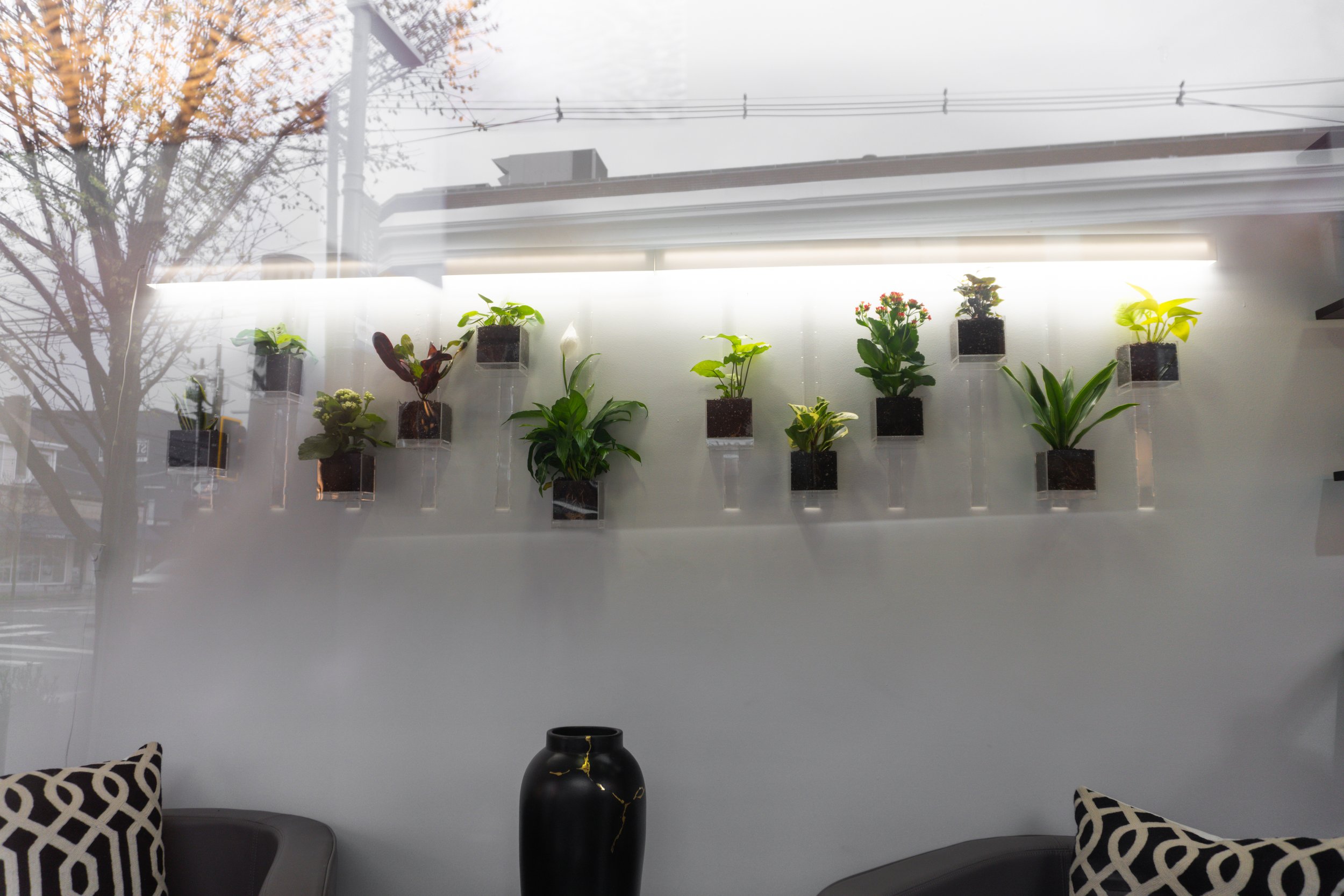 Pomander Walk (Artist Consultation) — 14