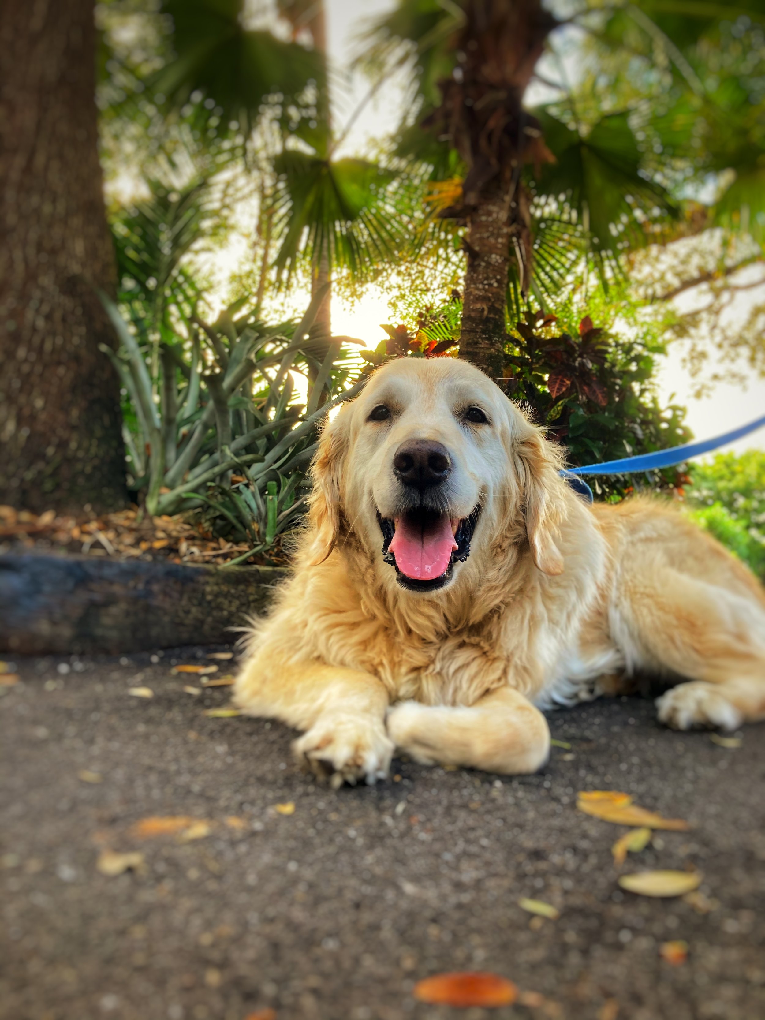 Here's the photo I used for the first Jake poster.