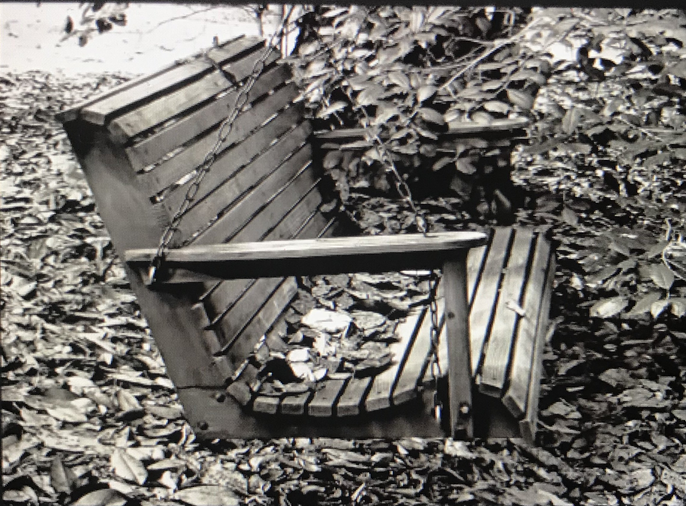 With no knowledge of benches nor swings, I started with this photo I found online. It has a nice scooping seat that looks comfortable.